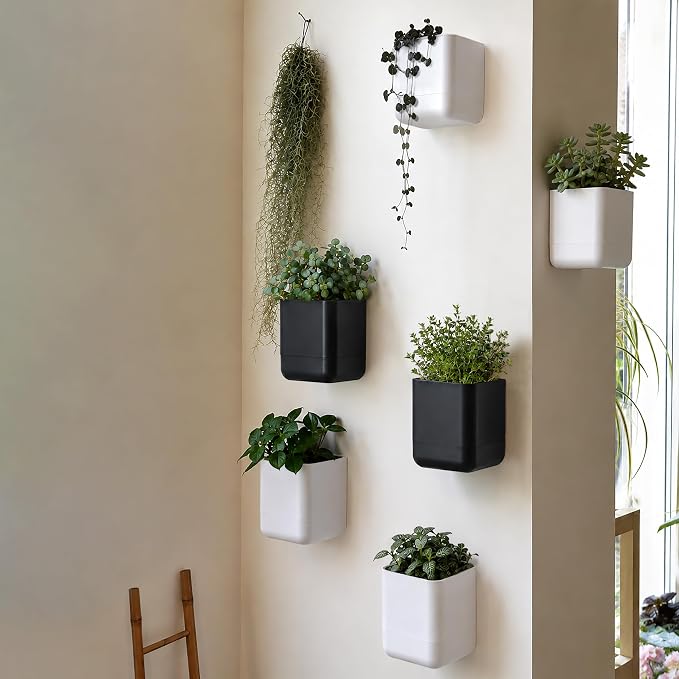 Phoenix Vine 4.5 Inch Wall Mounted Self-Watering Planter Pot for Indoor Houseplants and Herbs | Hanging Planter for Window Sills, Bathroom Walls, Home & Office Décor, White, Set of 2, 01-B-D-2
