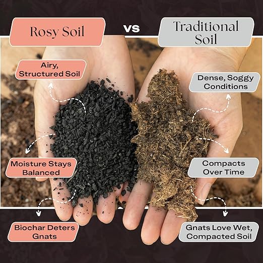 Rosy Soil Houseplant & Cactus Soil + Plant Food Bundle – Peat-Free Indoor Potting Soils + Organic Biochar Plant Food – for Houseplants, Succulents & Cacti – Complete Indoor Plant Care System