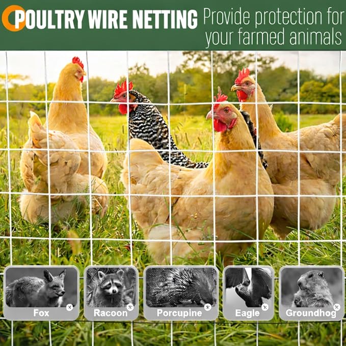 Gisafai 16 Gauge Galvanized Welded Wire Fence 6 ft x 100 ft PVC Coated Hardware Cloth, 2.36" x 2.36" Mesh, Heavy Duty Garden Fencing Roll for Yard Chicken Dog, Deer Cattle & Animal Protection(Silver)