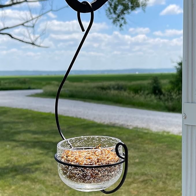 Clear Glass Hanging Bird Feeder - Removable Bowl for Mealworms, Jelly, Nectar, Seed & Fruit - Decorative Wire Hook - Versatile Outdoor Treat Feeder for Bluebirds, Orioles & More
