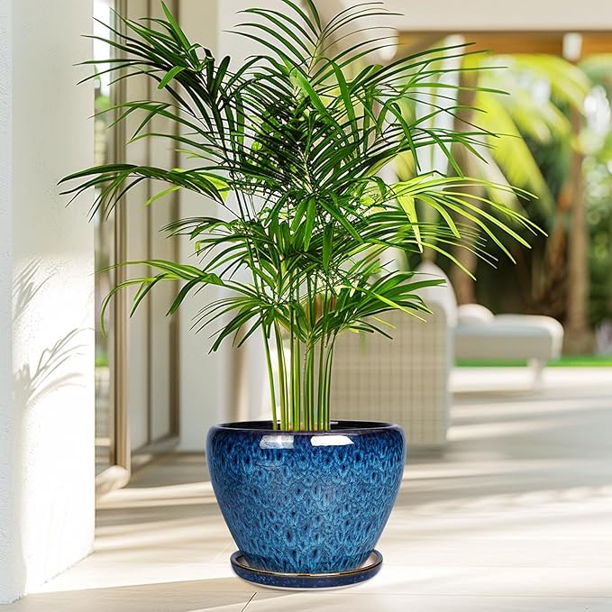 Ceramicfor 8 Inch Ceramic Plant Pot, Ceramic Planter Pot for Indoor Outdoor Plants, Round Flower Pot with Drainage Hole and Saucer, Blue