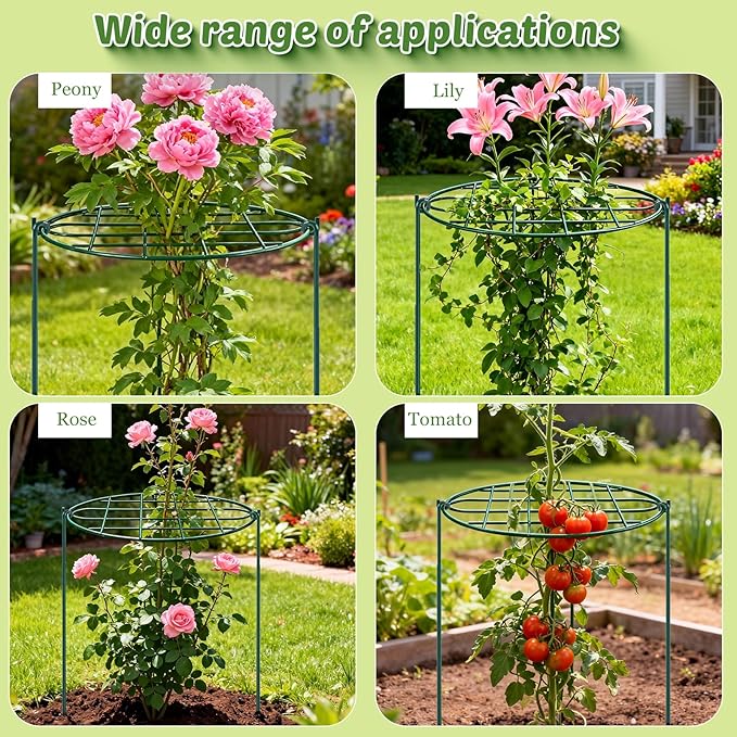 4 Pack 24 x 30 inch Peony Cages and Supports,Metal Grow Through Plant Supports for Outdoor Plants,Flowers Support Rings Top-Heavy Plant Brace Support Hoop for Vegetables,Rose,Tomato,Orchids