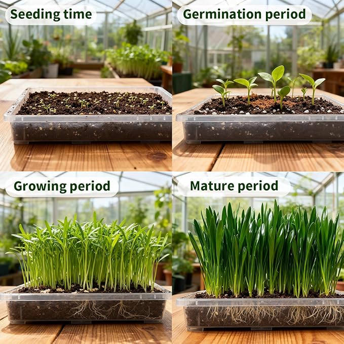 RooTrimmer Clear Seed Starter Trays 5 Pack(17"x11"x2"), Reusable Plastic Carrying Seedling & Nursery Trays, Durable Flat Pots Trays, Transparent Square Tray for Planting and Collecting Drainage Water
