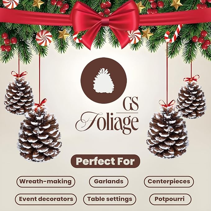 Frosted Austriaca Pine Cones for Crafts - 2-3 Inch Winter Pinecones for Christmas Decorating Ornaments Snowy Holiday Decorating Vase Filler - Rustic Dried Pine Cones - Set of 24 – Frosted