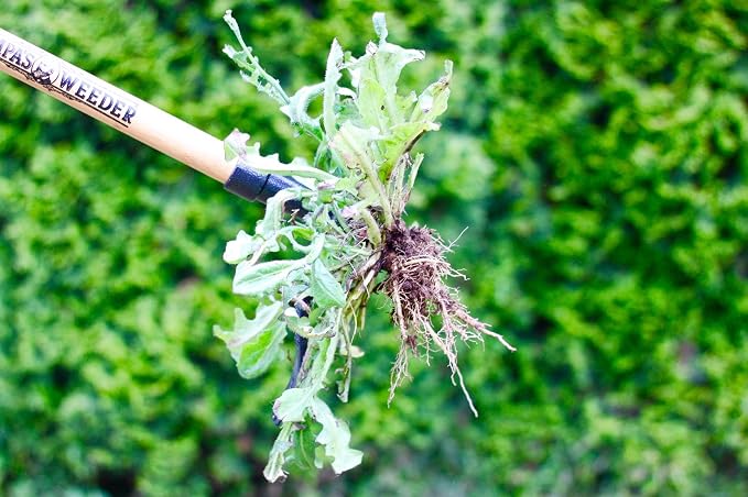 Grampa's Weeder + Grampa's Hand Weeder - Bundle The Original Stand Up Weed Puller & Grampa's Hand Weeder Tool for The Easiest & Most Effective Weed Removal Duos