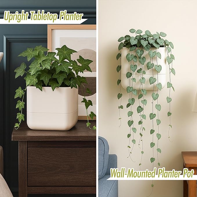 Phoenix Vine 6.5 Inch Wall Mounted Self-Watering Planter Pot for Indoor Houseplants and Herbs | Hanging Planter for Window Sills, Bathroom Walls, Home & Office Décor, Oatmeal, Set of 2, 01-C-G-2