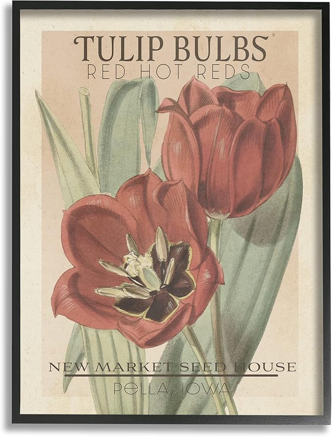 Stupell Industries Hot Red Tulip Bulbs Antique Floral Seed Packet