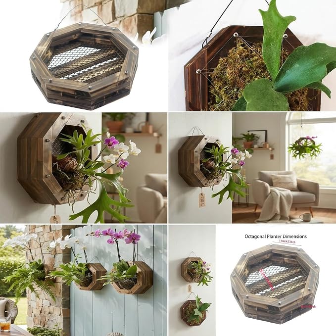 Staghorn Fern Mounting Kit - Wood Wall Planter for Orchids,Herbs & Indoor Plants | Hanging Plant Holder, Basket & Stand for Wall Decor(10.43inch)