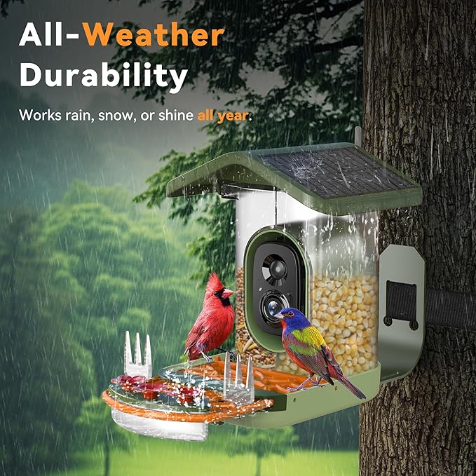 Rayki Solar Smart Bird Feeder with Camera, 2K HD Live Video with AI Identify Bird Species, Real-Time Motion Detection, Outdoor Watching Birdhouse