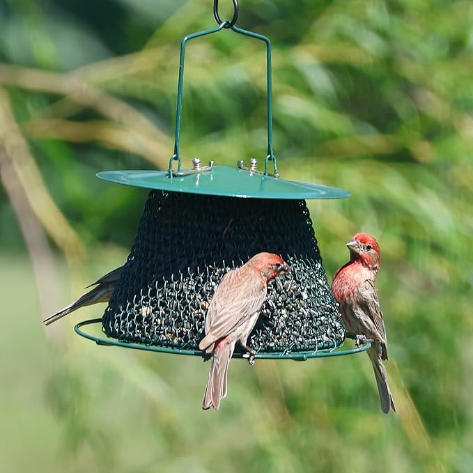 Green Collapsible Mesh Bird Feeder - Hanging Bird Feeder - Holds 1 Pound of Sunflower Seeds
