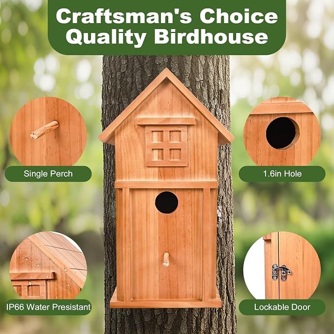 Bird House with Camera Solar Powered 1080P HD Outdoor Design, 2.4G WiFi, Auto Capture Bird Video & Motion Detection, Night Vision, (Dark)