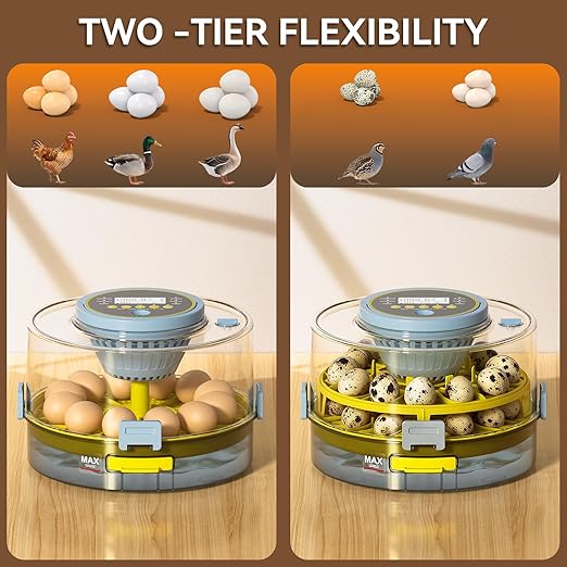 Egg Incubator for Hatching Eggs – 20-Egg Capacity with Automatic Egg Turner, Temperature & Humidity Control, LED Egg Candler, 360° Viewing for Chicken, Duck, Quail & Goose Parrot & Pigeon