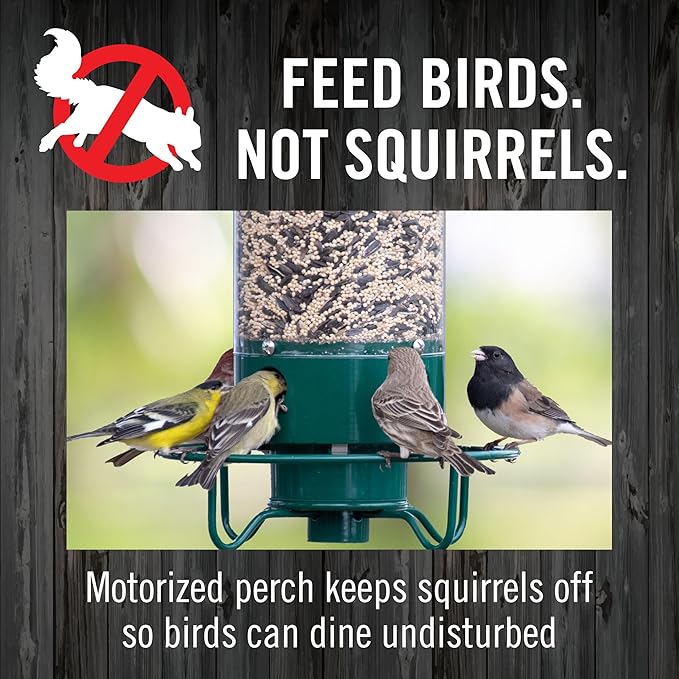 Droll Yankees Squirrel Proof Bird Feeder for Outdoors – Rechargeable Weight-Activated Rotating Perch, 5lb Seed Capacity, Metal Base, UV-Stabilized Seed Tube, Hanging Green Yankee Flipper, YF-M