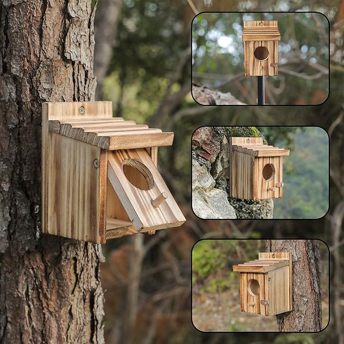 Humming Bird Houses for Outdoor Hanging Small Bird Nesting Box - Wood Nest for Wren, Chickadee, Robin, Hummingbird, Parakeet - Perch House for Outdoors Birdhouse Birds - Made of Pine Wood