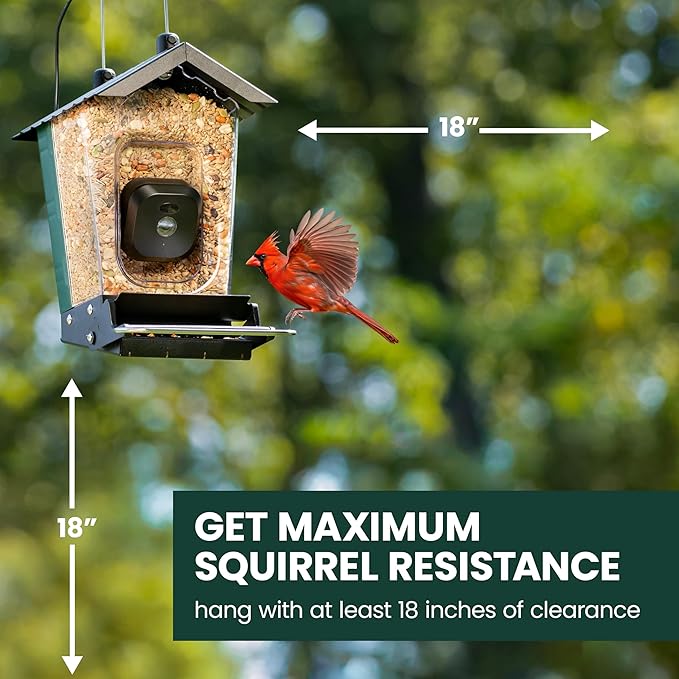 Perky-Pet Solar Powered Smart Bird Feeder with Camera - Squirrel-Resistant, 3.2L Capacity, Motion Activated 1080p HD WiFi Live Stream Camera, SPCAM, SPCAMSLR - Camera Feeder Gift Idea, Forest Green