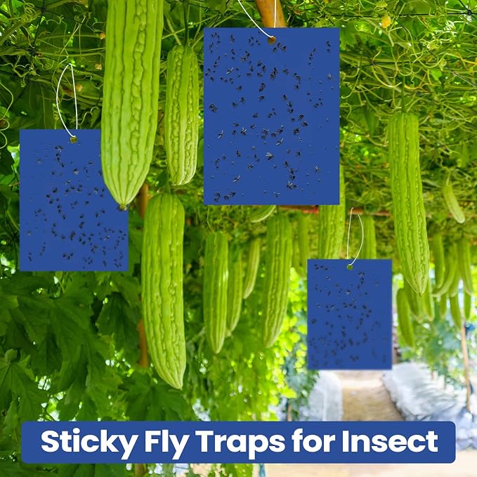 Qualirey 200 Pcs 6x8 Inch Blue Sticky Traps for Thrips Double Sided Sticky Trap for Gnats Plant,Pest Control for Fungus Gnats, Thrips, Whiteflies – Bulk Pack with Twist Ties