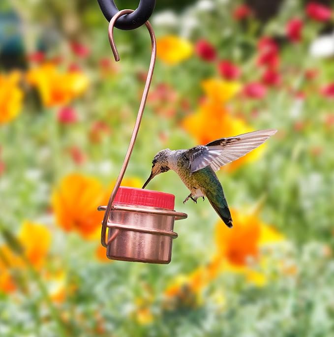 Monarch Abode Hanging Hummingbird Feeders for Outdoors – Pure Copper Handcrafted Single Hanging Hummingbird Feeder, Decorative Humming Bird Feeders for Outdoors Garden Patio Deck, Pack of 2