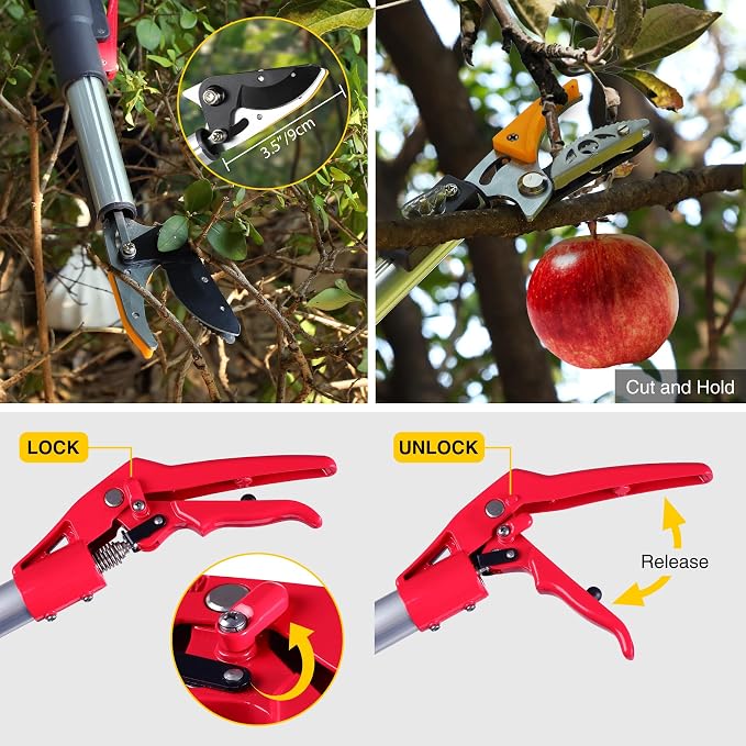 10FT Telescoping Pole Saw with Pruner, Extendable Tree Trimmer & Cut and Hold Fruit Picker for Garden Harvesting, Cherry, Avocado, Citrus