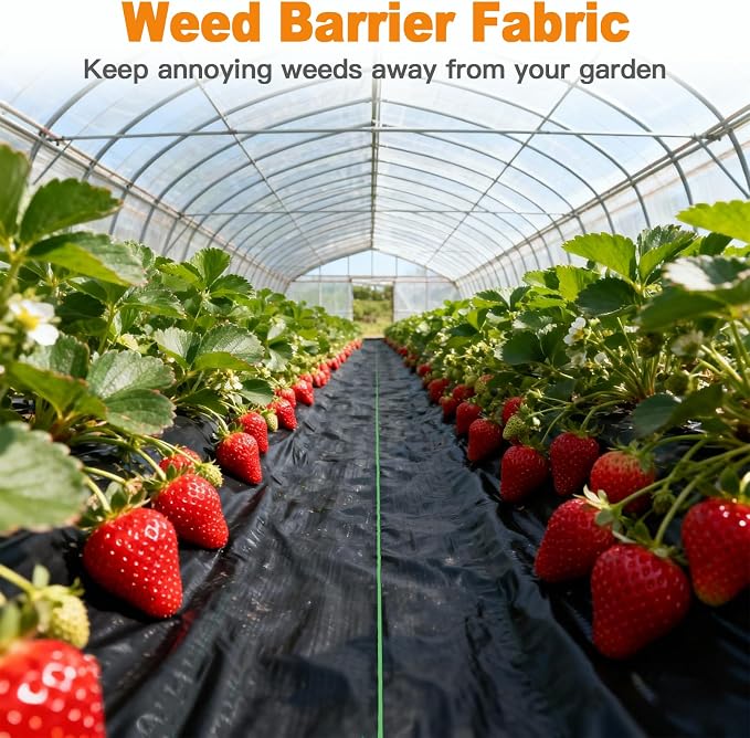 AMAGABELI GARDEN & HOME 3ft x 300ft Weed Barrier Landscape Fabric 3.2oz Plastic Garden Cloth Heavy Duty Weed Control Blocker Mat Gardening Ground Cover Woven Geotextile Fabric Driveway Underlayment