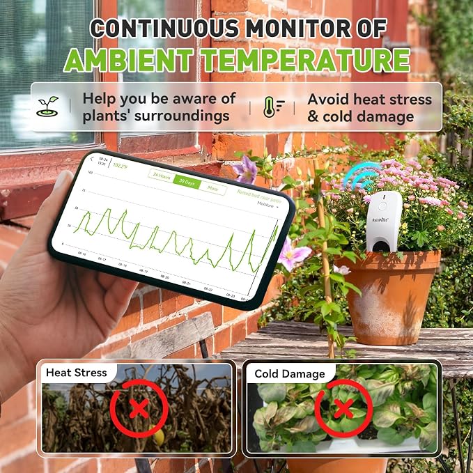 RainPoint 3-in-1 APP Remote Monitoring WiFi Soil Meter for Plant Indoor/Outdoor, Moisture/Air Temperature/Light Intensity Monitor and Custom Alert, IP66 Waterproof Wireless Sensor, 2.4GHz WiFi Support