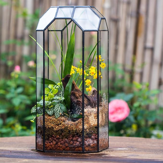 NCYP No Door Glass Geometric Terrarium for Plant, Succulent, Cacti - 5.5"x5.5"x12.8" Indoor Tall Octagon Glass Planter, Home Garden Office Decoration, Micro Landscape (Terrarium Only)