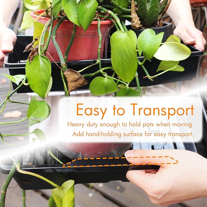 Gardzen 10 Pack Reusable Seed Starter Trays with 30 Pack 6 Cell Trays, Ideal for Starting Seeds