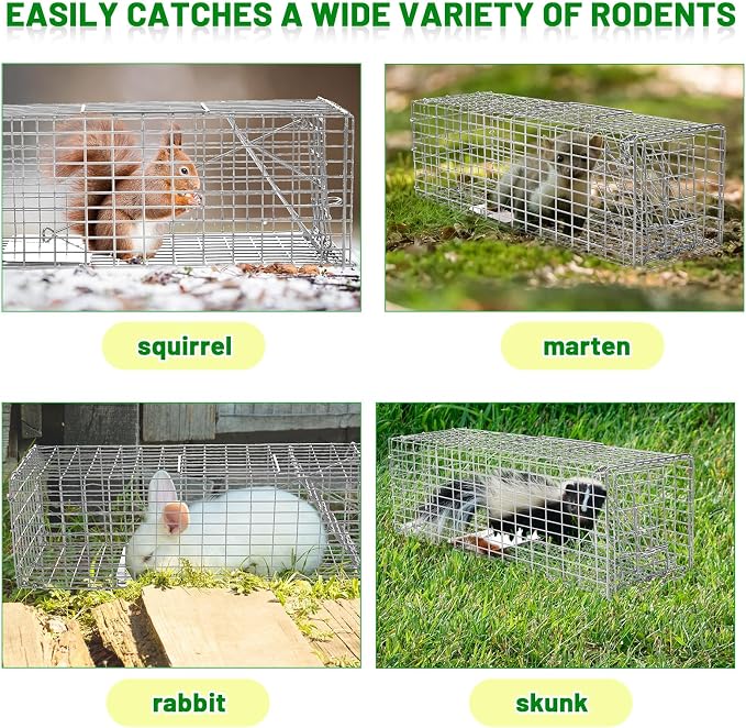 Qualirey 2 Pcs Humane Squirrel Trap Heavy Duty Live Animal Chipmunk Catch and Release Rat Trap for Outdoor Small Animals Mouse Raccoon Stray Cat Rodent Weasels(Silver)