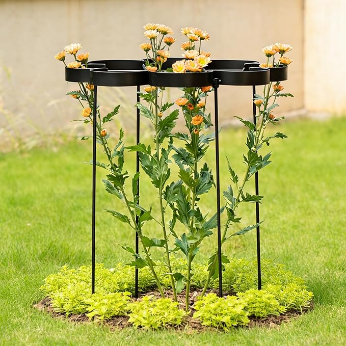 25" Peony Cages and Supports - Elegant Black Modern Flower Support Stakes for Peonies & Dahlias - Designed for Stability & Growth - Perfect for Gardens & Patios