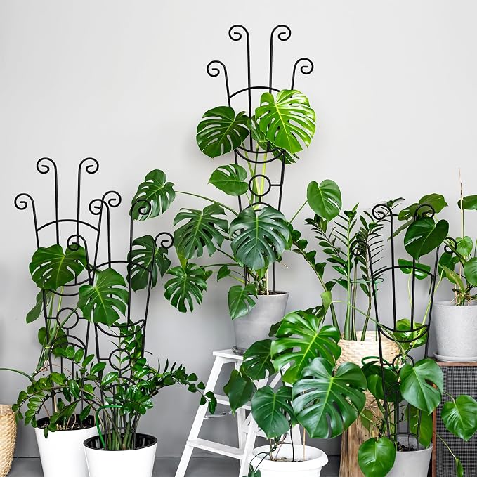 32.6in Monstera Plant Support Stakes for Indoor Plants, Metal Garden Plant Trellis for Climbing Plants, Pothos Vine Snake Climber Support，2p