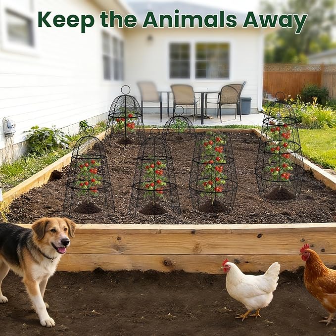 6 Pack Garden Cloche Plant Protectors from Animals, Adjustable 3-Tier Chicken Wire Plant Cages for Outdoor Plants, Stackable Metal Garden Cloches Keep Rabbits, Squirrels & Birds Away, 17.3" x 11.4"