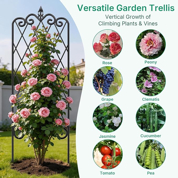 AMAGABELI GARDEN & HOME 4 Pack Garden Trellis for Climbing Plants 60” x 18” Outdoor Garden Fencing Decorative Plant Trellis Vegetables and Rose Trellis for Ivy Cucumbers Black