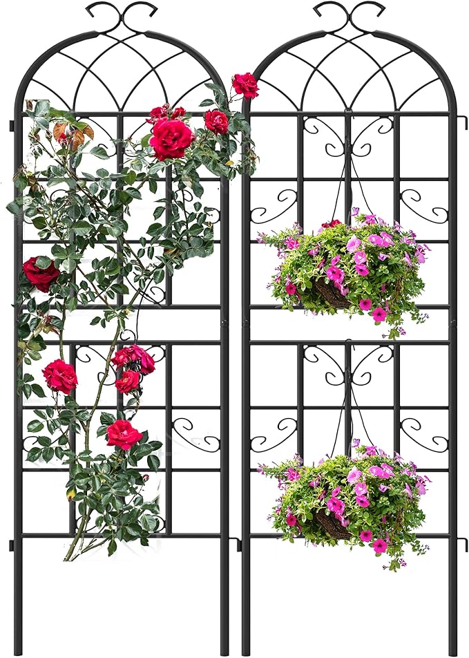 4 Pack Garden Trellis for Climbing Plants Outdoor, 71" H x 20" W Rustproof Iron Plant Support for Rose, Vine, Cucumber, Decorative Scrollwork Clematis Trellis for Yard, Lawn Patio or Wall Decor
