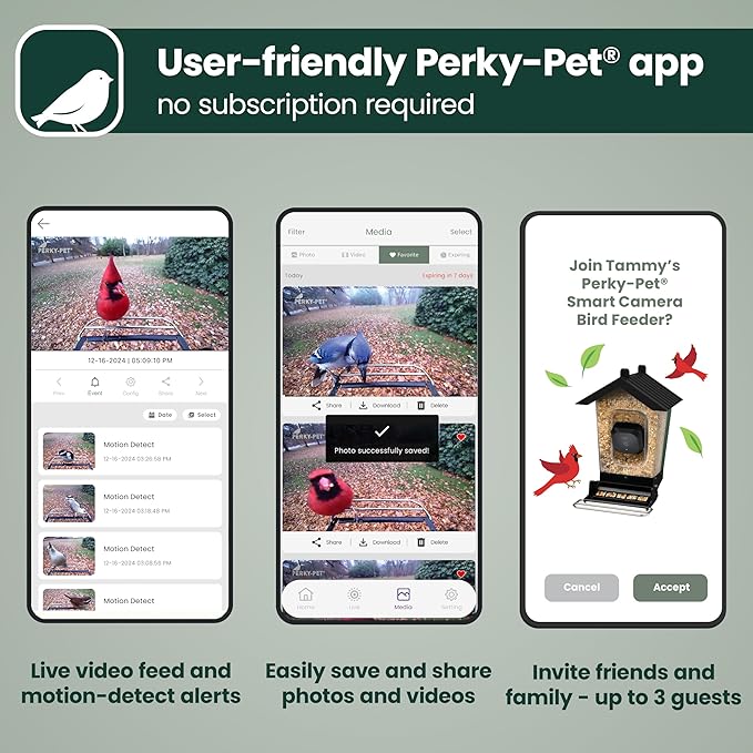 Perky-Pet Solar Powered Smart Bird Feeder with Camera - Squirrel-Resistant, 3.2L Capacity, Motion Activated 1080p HD WiFi Live Stream Camera, SPCAM, SPCAMSLR - Camera Feeder Gift Idea, Red