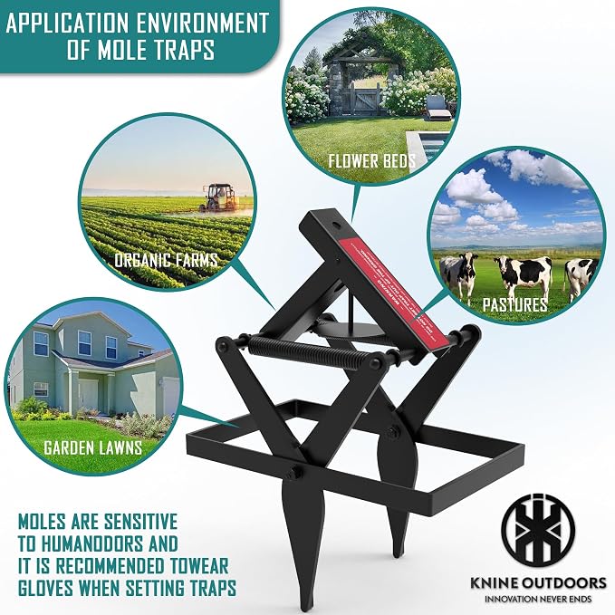 KNINE OUTDOORS Mole Traps, Black Galvanized Steel Scissor Trap, Reusable Gopher Traps, Mole Killer, Ground Moles Trap for Lawns (2 Pack)