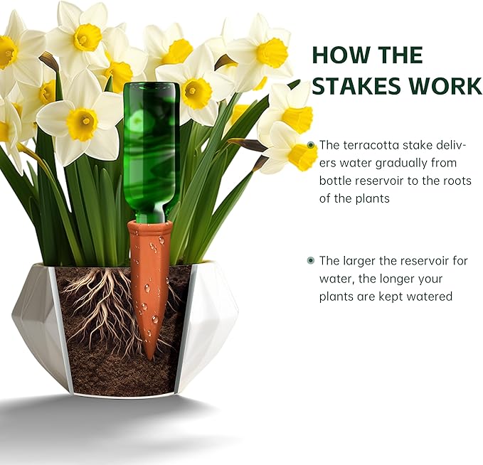 Soilagua Large Terracotta Watering Spikes with Lids, Automatic Plant Waterer Outdoor | Indoor, Vacation Friendly Clay Plant Watering Devices System, Slow Release Self Watering Planter Insert, 8 Pack