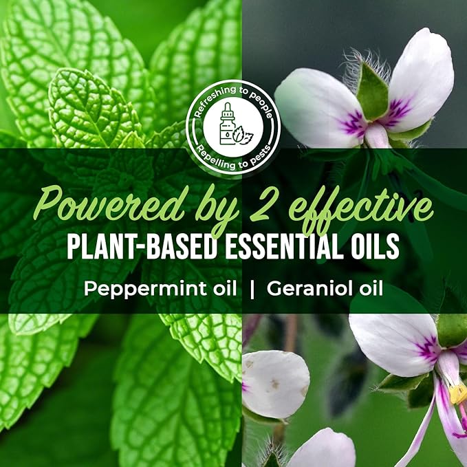 Mighty Mint Peppermint Oil Ant Killer Spray – Natural Ant Repellent for Indoor & Outdoor Use – Plant-Based Insect & Pest Control – 16 oz