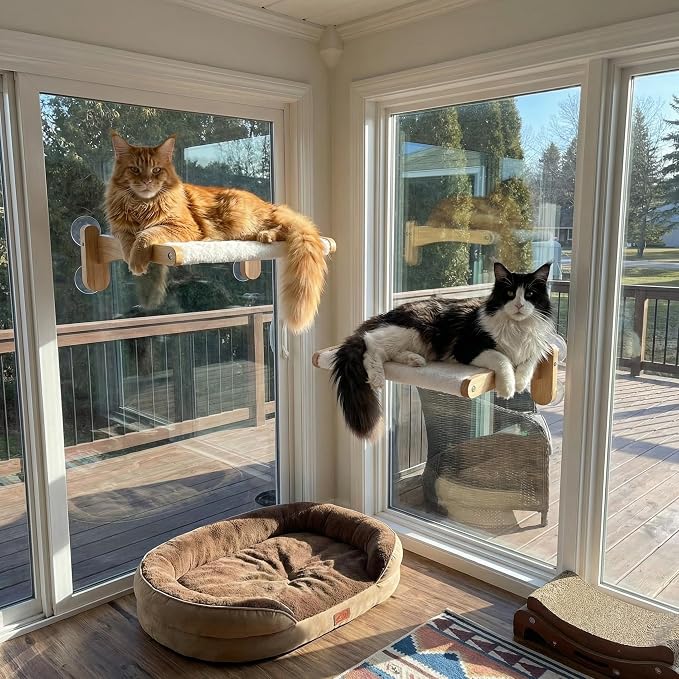 Cat Window Perch with Bird Feeder – Foldable Hammock, Strong Suction Cups for Indoor Cats (Nature-2)