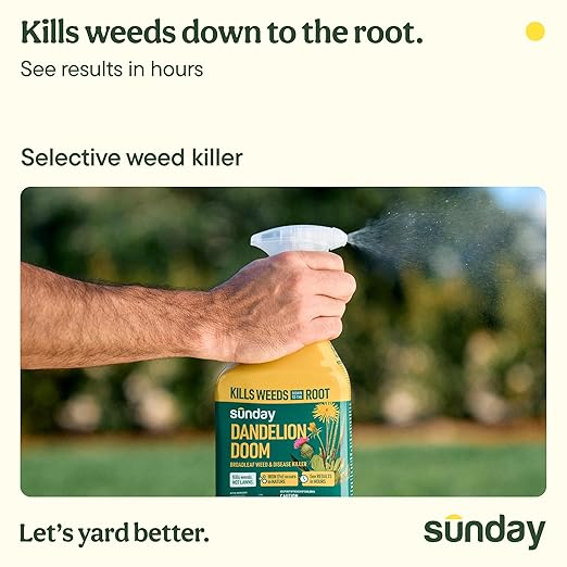 Sunday Dandelion Doom Selective Weed Control - Derived from Iron - Selective Broadleaf Weed Killer Spray - Kills Dandelions, Algae and Moss - 32oz - 2 Pack