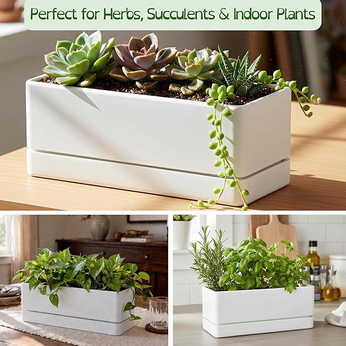 D'vine Dev 12 Inch Window Box Planter, Rectangle Plastic Herb Planter with Drainage Holes and Saucer, Indoor Succulent Cactus Vegetable Pot for Windowsill, Garden Balcony, White, Set of 2, 76-X-A-2