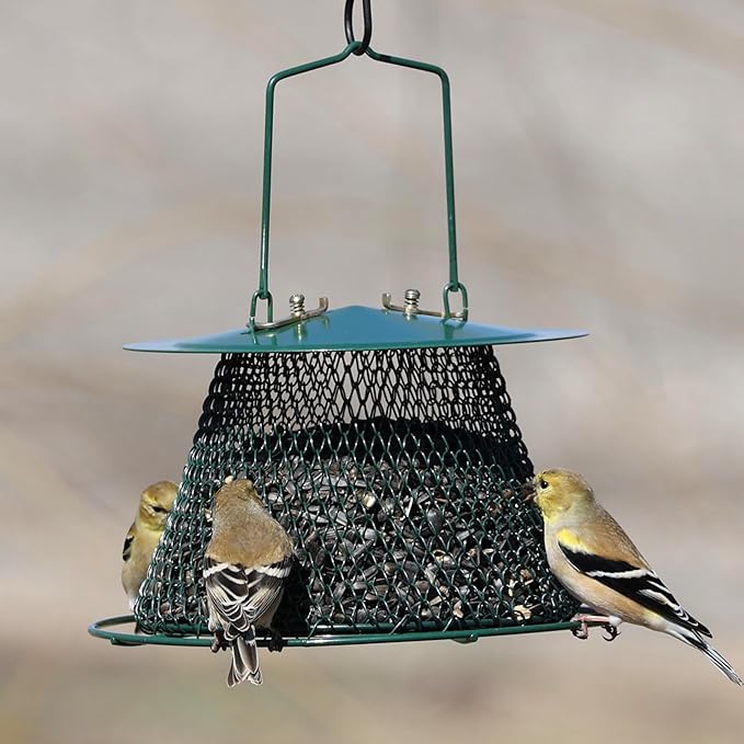 Green Collapsible Mesh Bird Feeder - Hanging Bird Feeder - Holds 1 Pound of Sunflower Seeds