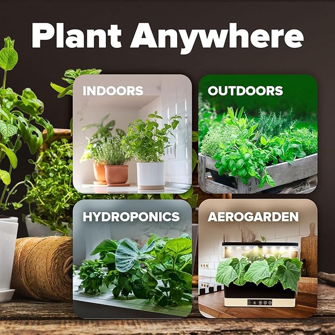 HOME GROWN 12 Fall Vegetable Seeds 9600+ Heirloom Non-GMO, High Germination, Cold Hardy Frost Tolerant Cool Season Garden, Beets, Kale, Cabbage, Peas, Broccoli, Lettuce, Onions (12 Varieties)
