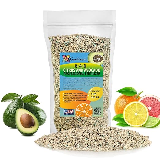 𝐁𝐄𝐒𝐓𝐒𝐄𝐋𝐋𝐄𝐑 6-4-6 Avocado Citrus Tree Plant Food for Outdoor/Indoor Gardening | Quick-Release Nitrogen Fertilizer | Orange, Lime, Avocado and Lemon Tree Fertilizer (4 Quarts)
