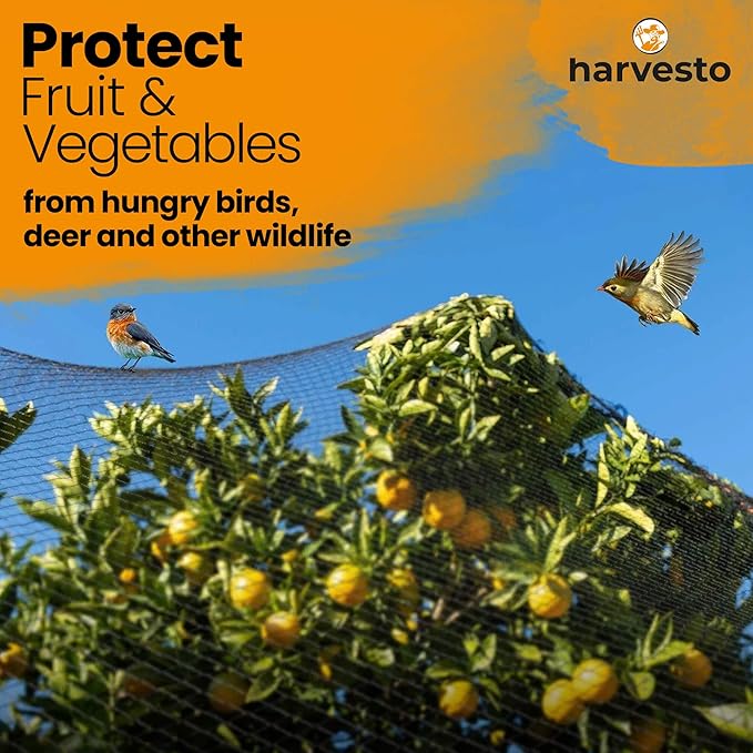 Harvesto Heavy Duty Bird Netting for Chicken Coops & Runs | Tree & Garden Netting Mesh 1-1/2" | Keep Hawks, Birds & Predators Away | Bird Netting for Blueberry Bushes, Vegetables & Fruit (25' x 25’)