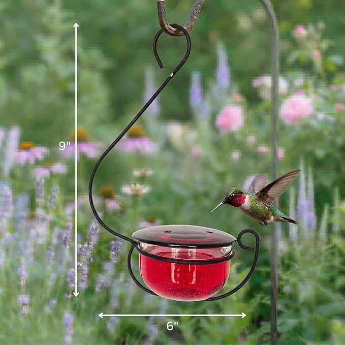 Glass Hummingbird Feeder - Handcrafted Clear Glass Bowl with Red Cap - 4 Feeding Ports - Decorative Hanging Hook - Easy Clean Outdoor Hummingbird Feeder for Nectar