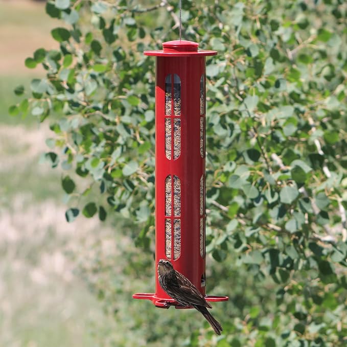 More Birds Squirrel-X8 Squirrel-Resistant Bird Feeder