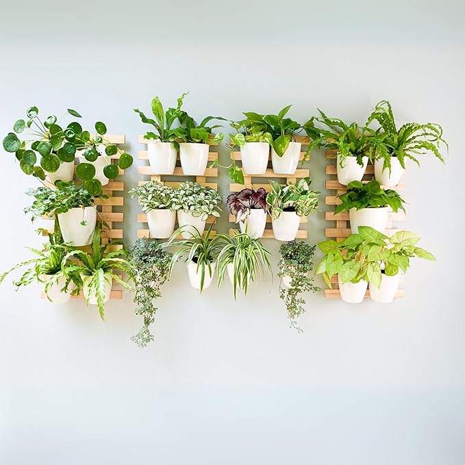ShopLaLa Wall Planter (60cm, 2 Pack) Wooden Hanging Ladder Planters with Clear Paint Finish, Wall Mount Plant Stand for Indoor Plants, Outdoor Vertical Garden, Herbs Orchid Display, Balcony Home Decor