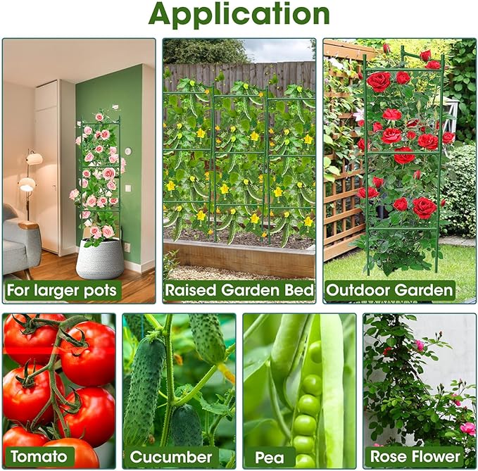 3 Pack Tomato Cage,Tomato Cage for Raised Garden Bed, 48'' Tall Tomato Trellis Triangle or Square Cages for Garden,Pots, Plant Cages & Supports（Green, Extra Bold ）