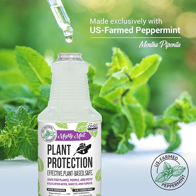 Mighty Mint Peppermint Oil Plant Protection Spray – Insect & Pest Control for Gnats, Spider Mites & Aphids – Plant-Based, Easy-to-Use - 16 oz