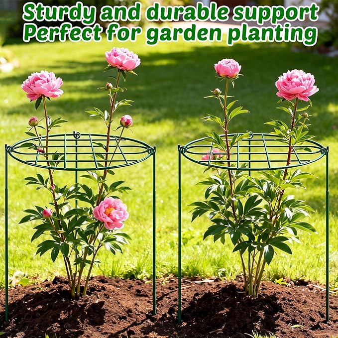 6 Pack 16 x 24 inch Peony Cages and Supports,Metal Grow Through Plant Supports for Outdoor Plants,Flowers Support Rings Top-Heavy Plant Brace Support Hoop for Vegetables,Rose,Tomato,Orchids