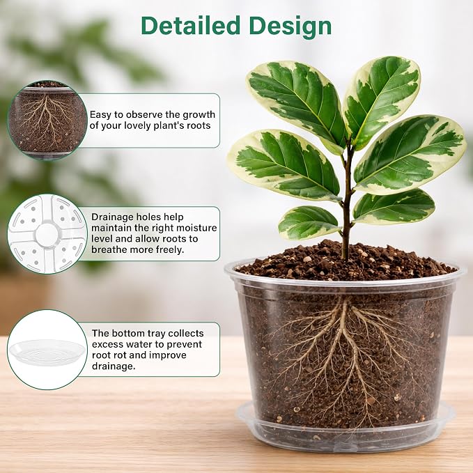 Bluepro 12 Pack 10/8/6/5 Inch Reinforced Large Clear Nursery Pots with Sacuers, Transparent Variety Pack Plastic Garden Pot with Drainage Holes for Vegetable Propagation, Root Cutting, Seed Starting